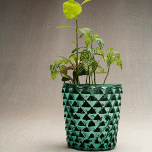 Untitled (1) La Costa